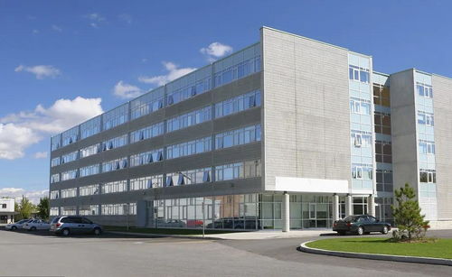 掛靠施工中，滿足特定條件即可直接向發(fā)包人主張工程款